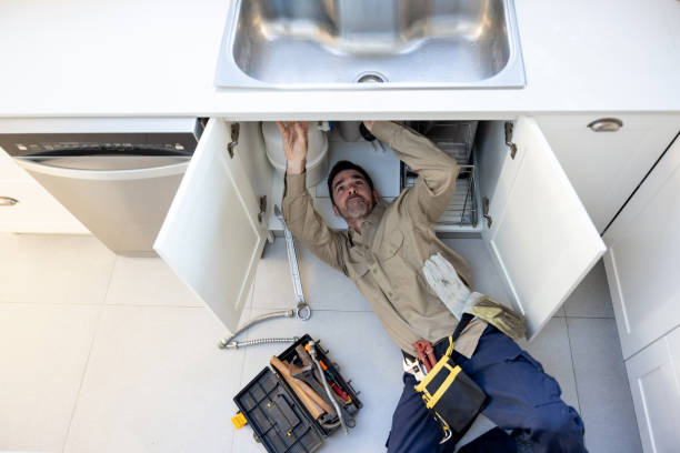 Best Local Plumber Services  in Plainwell, MI
