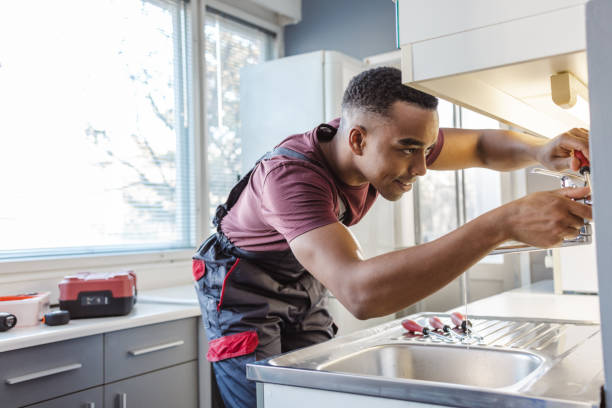 Best Plumbing Services Near Me  in Plainwell, MI